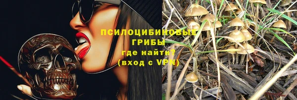 твердый Алексин