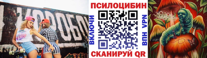 Галлюциногенные грибы MAGIC MUSHROOMS Знаменск